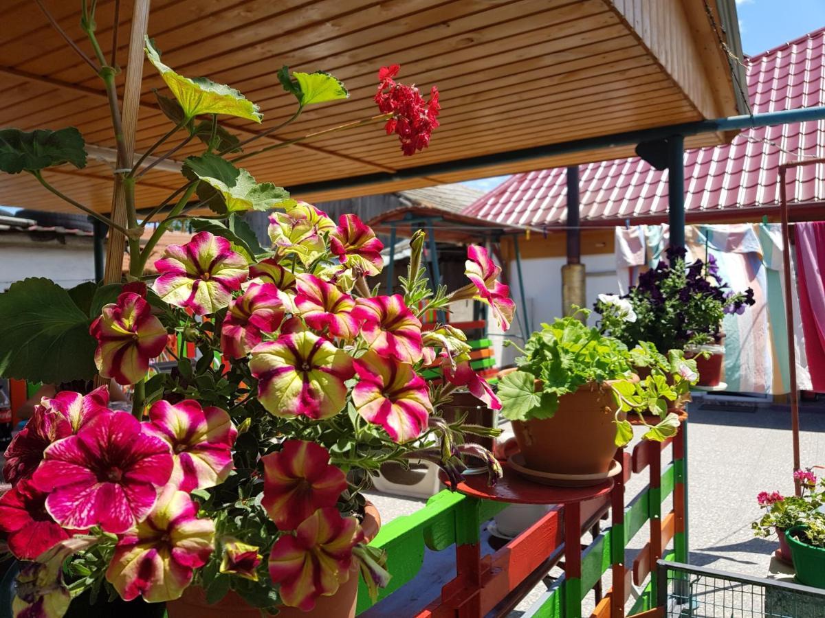 Hotel Casa Simona Două Mai Exterior foto